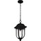 Quoizel Mulberry Outdoor Hanging 1 Light Matte Black MUL1909MBK - alternate 5